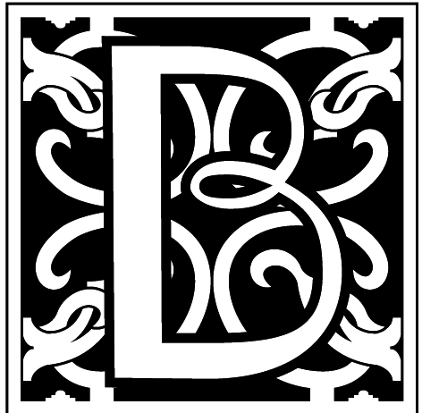 Bridges DP logo